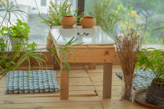 Cozy indoor scene featuring a Go game setup on wooden table, surrounded by lush houseplants.