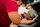 caregiving
