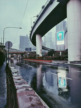 A rainy urban scene featuring an elevated expressway, wet streets, and city buildings.