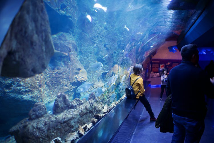 Woman Sitting Near Aquarium