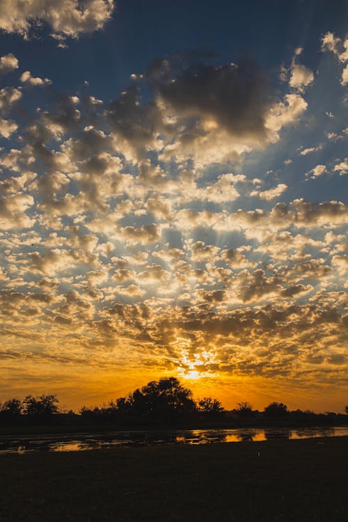 Clouds on Sky at Sunset over Silhouette of Trees