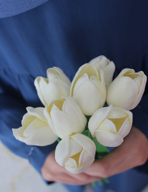 armağan, Aşk, Beyaz çiçekler içeren Ücretsiz stok fotoğraf