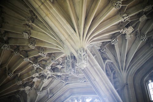 Free stock photo of dome of church