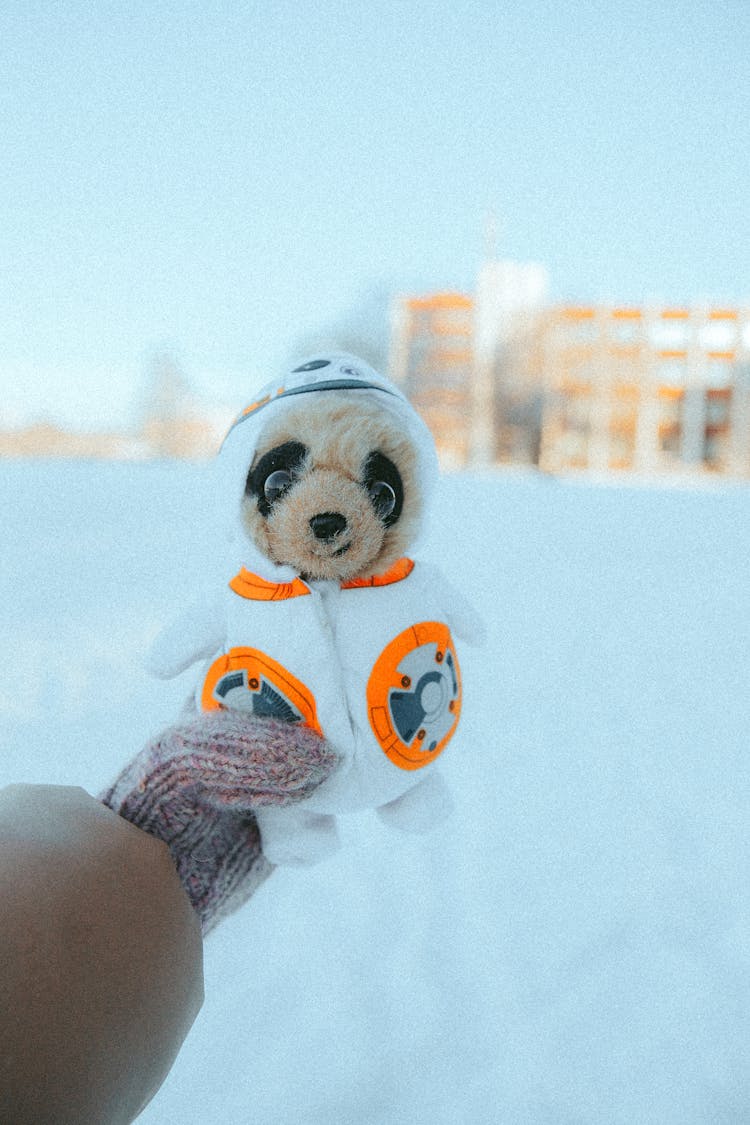 Hand Holding Teddy Toy Over Snow