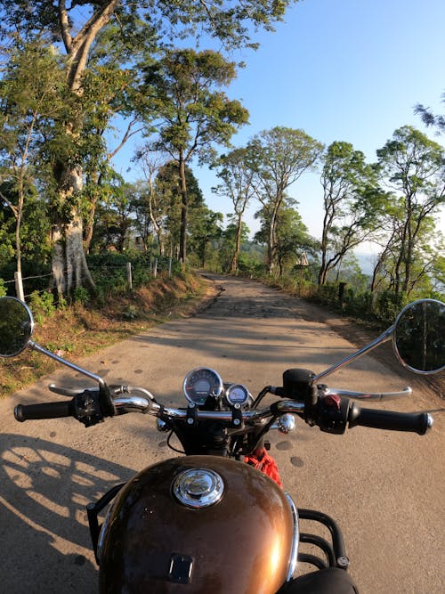Motorbike on Road among Trees