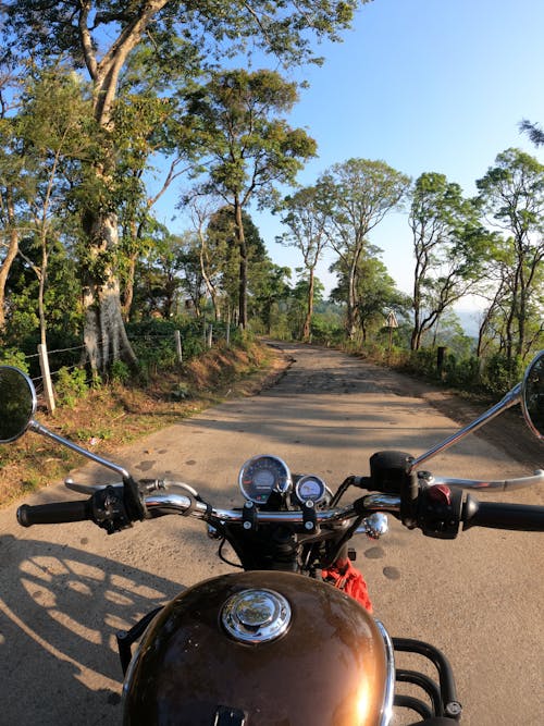 Riding Motorbike on Road among Trees