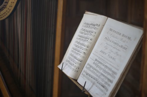 Free stock photo of tablatures of harp