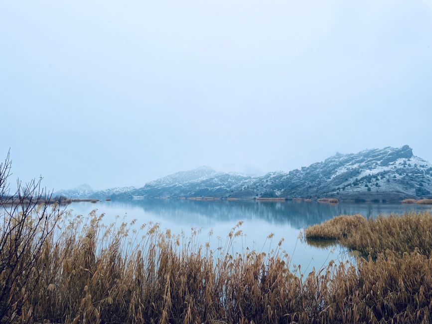 Serene foggy scene with a lake, mountains, and reeds in Sarpunkavak, Turkey during winter.
