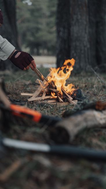 A cozy campfire burning amidst a tranquil forest environment.