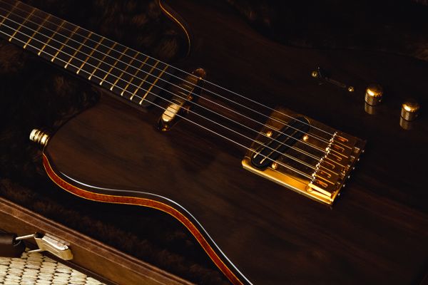 Electric Guitar