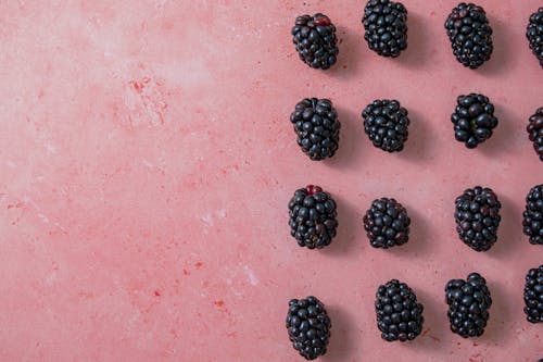 Rows of Blackberries on a Pink Background