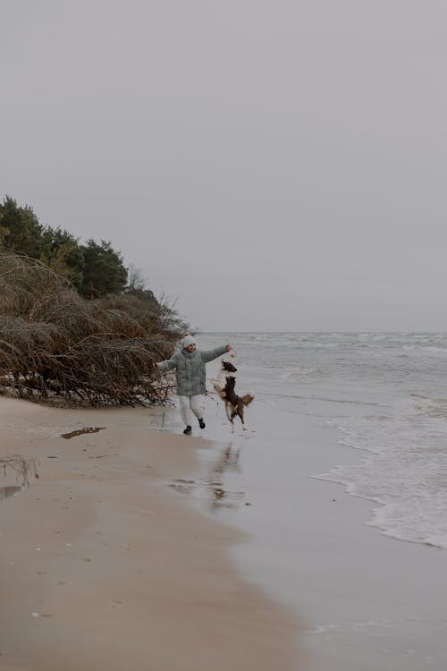 Person in Jacket Playing with Dog on Beach