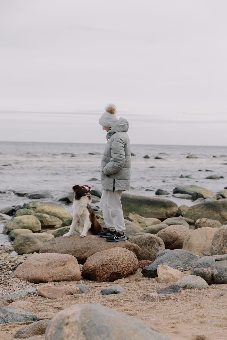 Woman On Rocks On Sea Shore With Dog