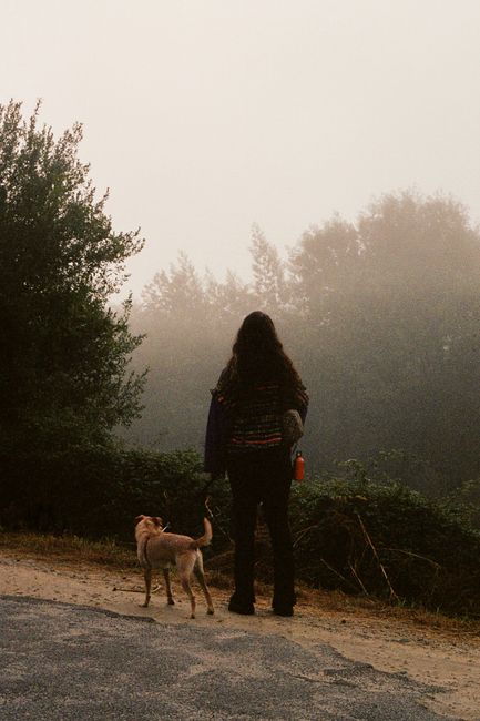Woman enjoying a misty morning walk with her dog in a serene park setting.
