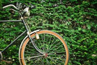 复古自行车车轮的特写，背景是郁郁葱葱的绿色灌木丛，非常适合生态和旅行主题