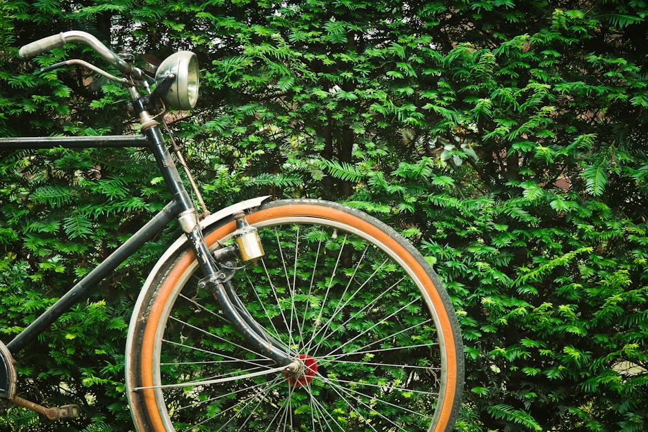 Black Beach Cruiser Bicycle Near Green Hedge during Daytime
