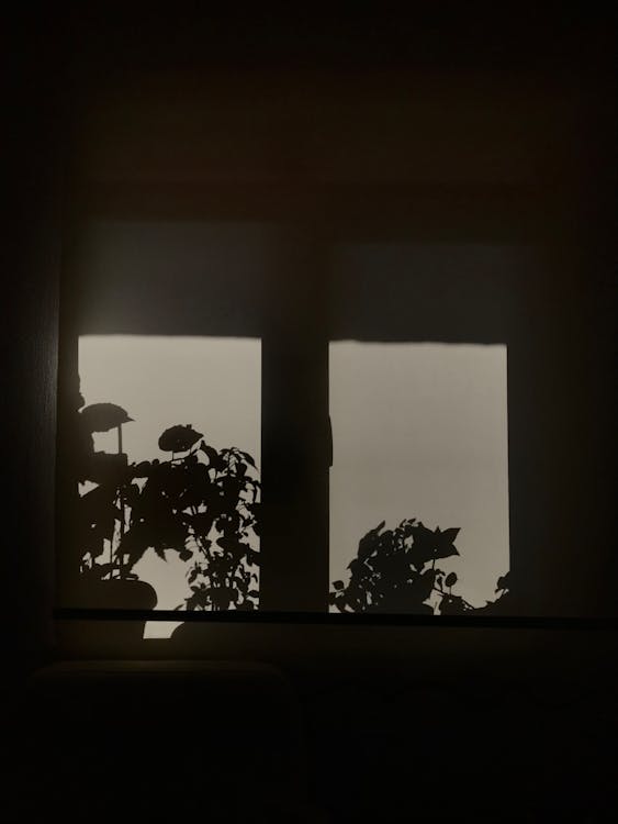 Darmowe zdjęcie z galerii z ciemność, okna, pionowy strzał