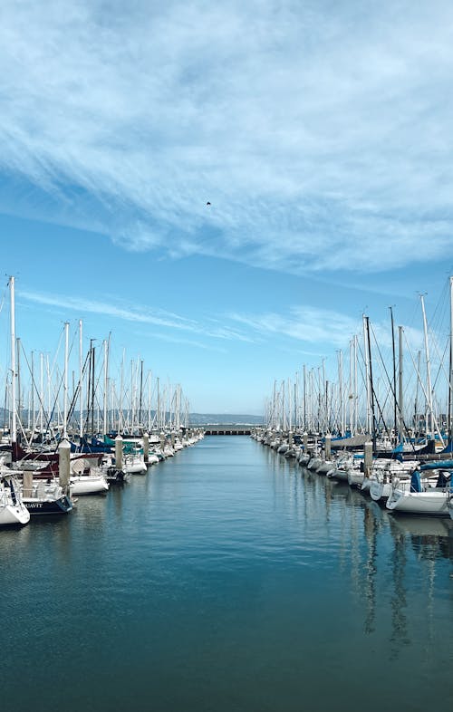 Kostenloses Stock Foto zu boote, hafen, meer