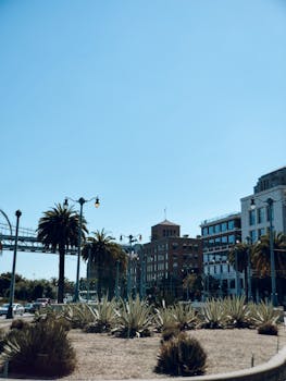View of an urban plaza with aloes and palm trees against city buildings on a clear day.