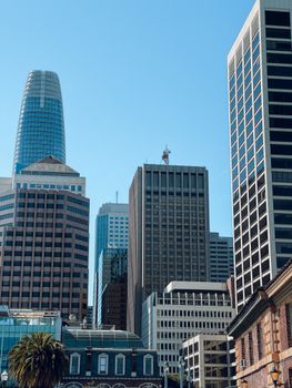 Vertical shot of San Francisco's urban skyline highlighting modern skyscrapers under a clear blue sky.