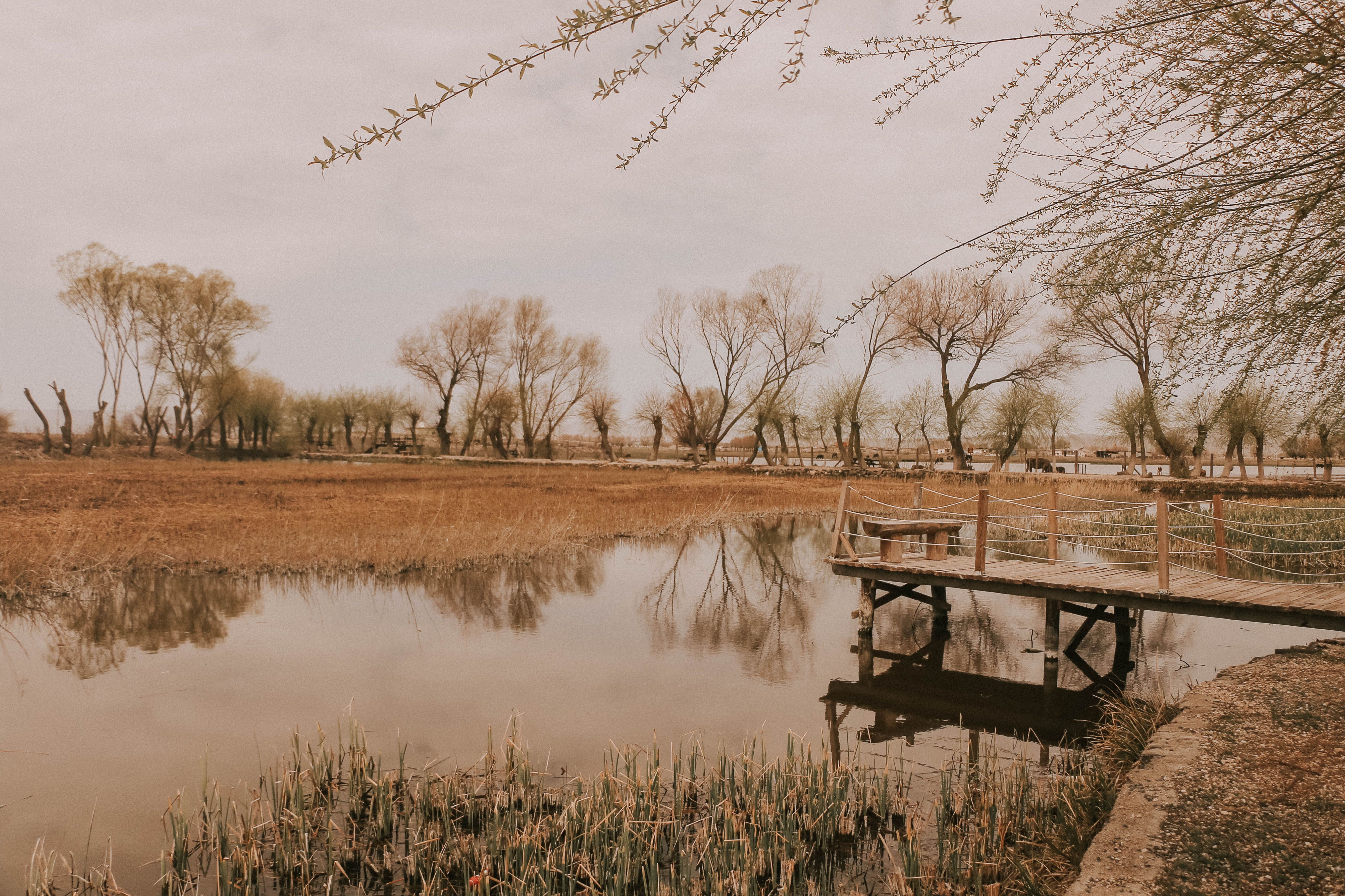 A tranquil autumn scene with trees reflecting on a quiet pond in Sindelhöyük, Türkiye.