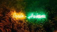 在古巴向日葵艺术背景下，霓虹灯标志充满活力地展示着“哈瓦那港”