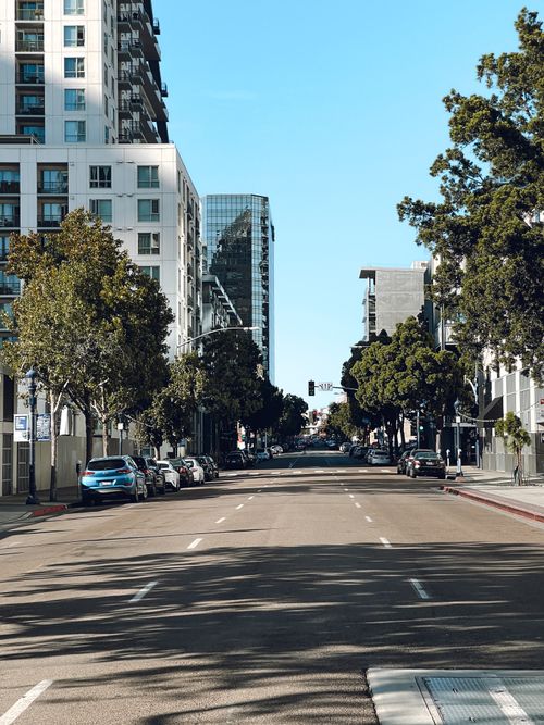 Free A clear sunny day overlooking a tree-lined street with tall buildings in downtown. Stock Photo