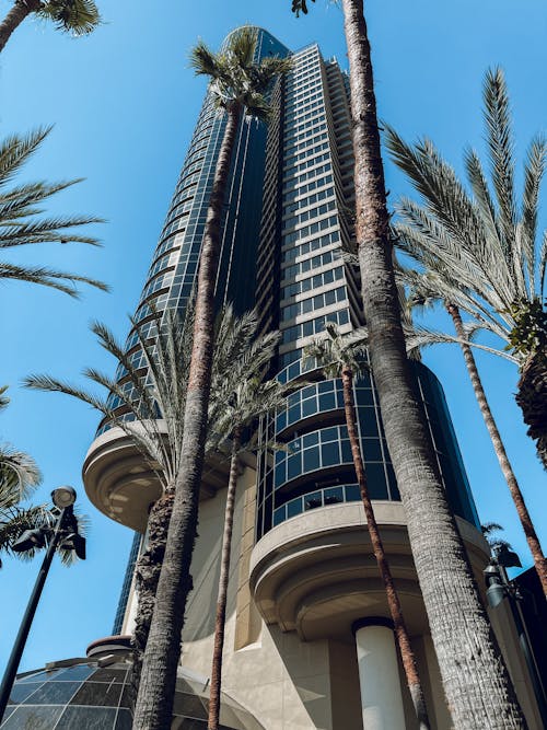 Kostenloses Stock Foto zu hafenclub, moderne architektur, palme