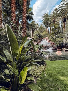 Explore a lush tropical garden featuring palm trees, exotic plants, and a serene waterfall.