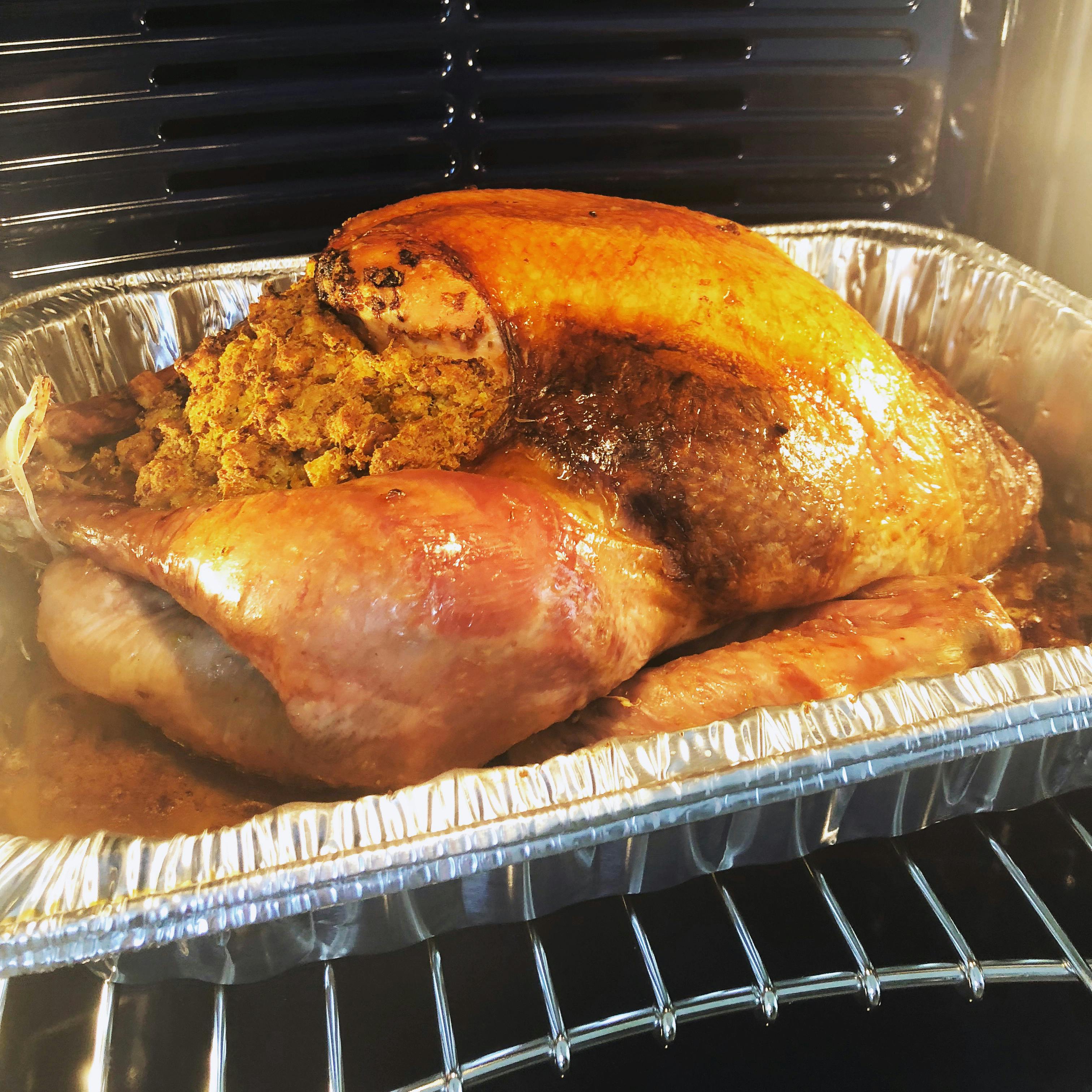 Free stock photo of oven, stuffing, Thanksgiving