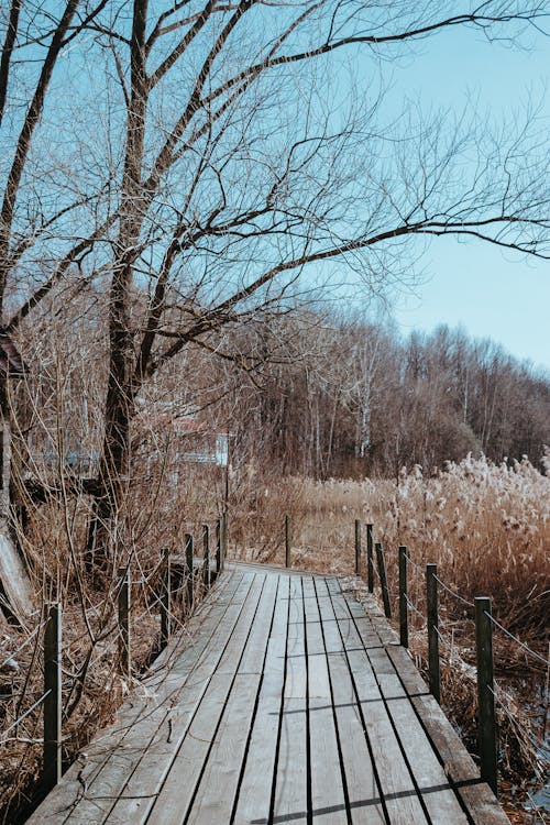 乾草, 人行天橋, 垂直拍攝 的 免費圖庫相片