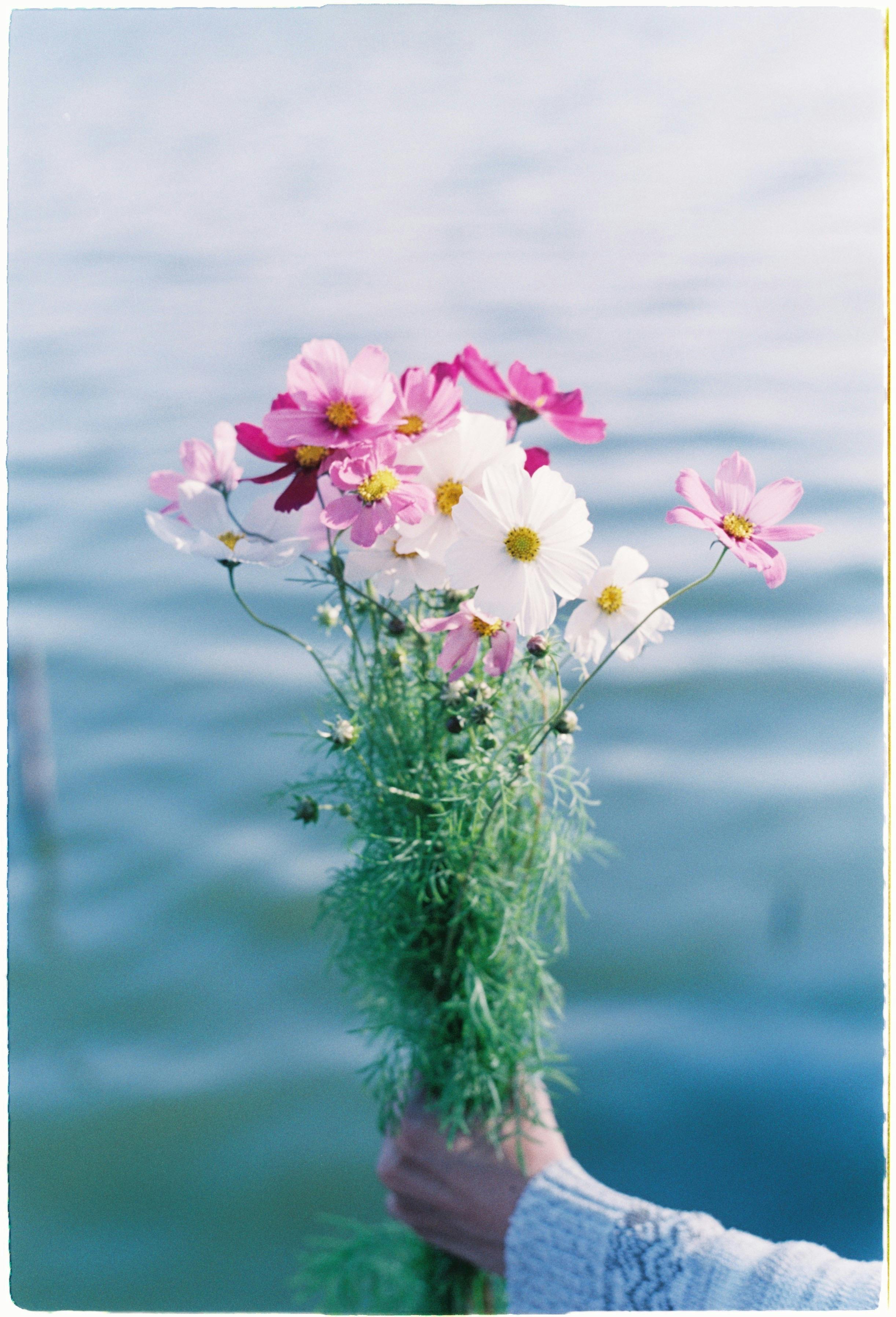 A hand holds a vibrant wildflower bouquet against a serene lakeside backdrop.