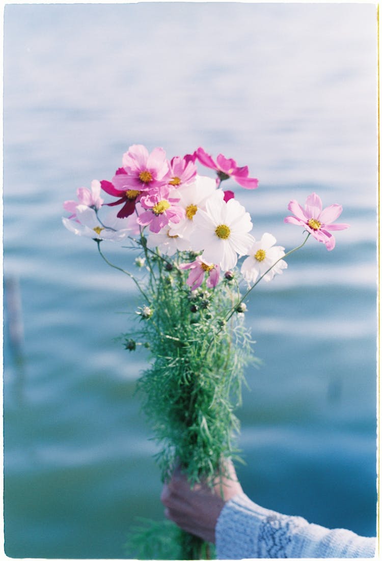 Beautiful Flowers In Hand