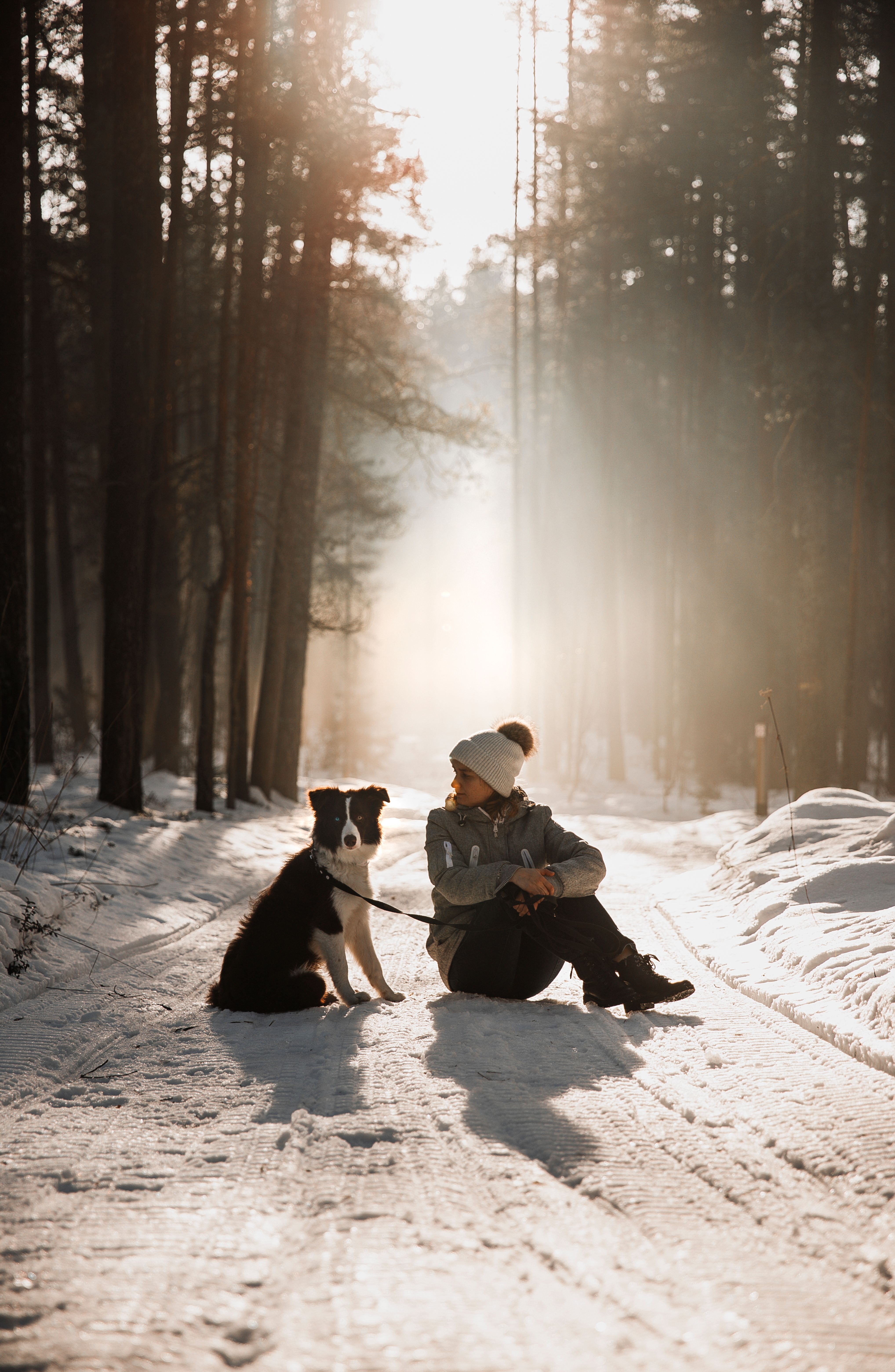 Woman with a Dog in the Forest in Winter · Free Stock Photo