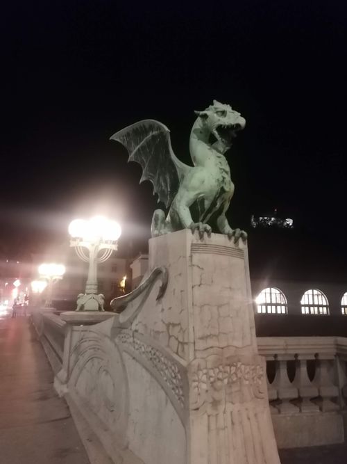 Free DRAGON1 Stock Photo