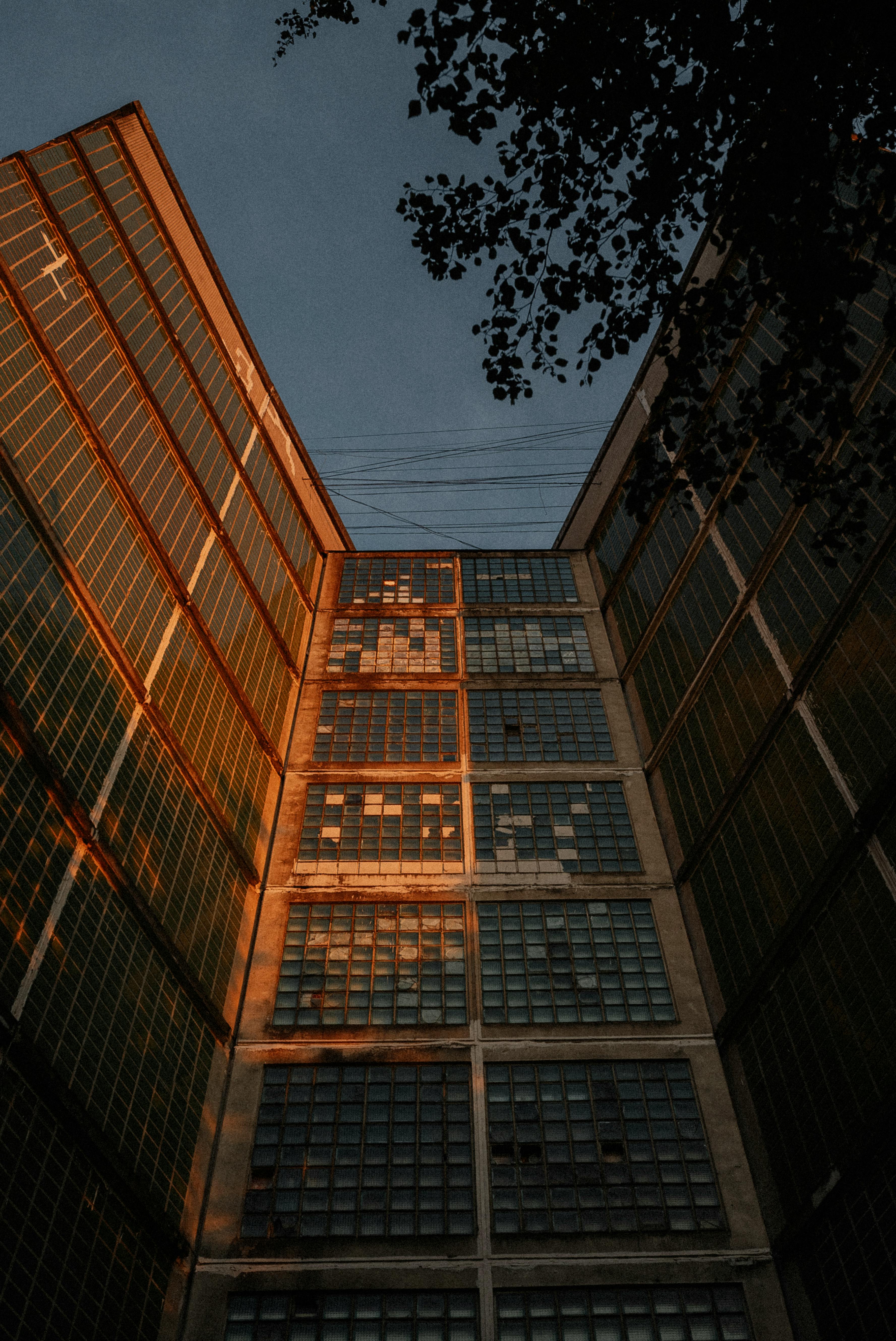 Low angle view of an old urban office building facade reflecting dawn light, showcasing a worn exterior.