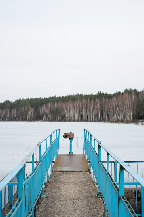 Jetty with a View of the Lake and Forest 