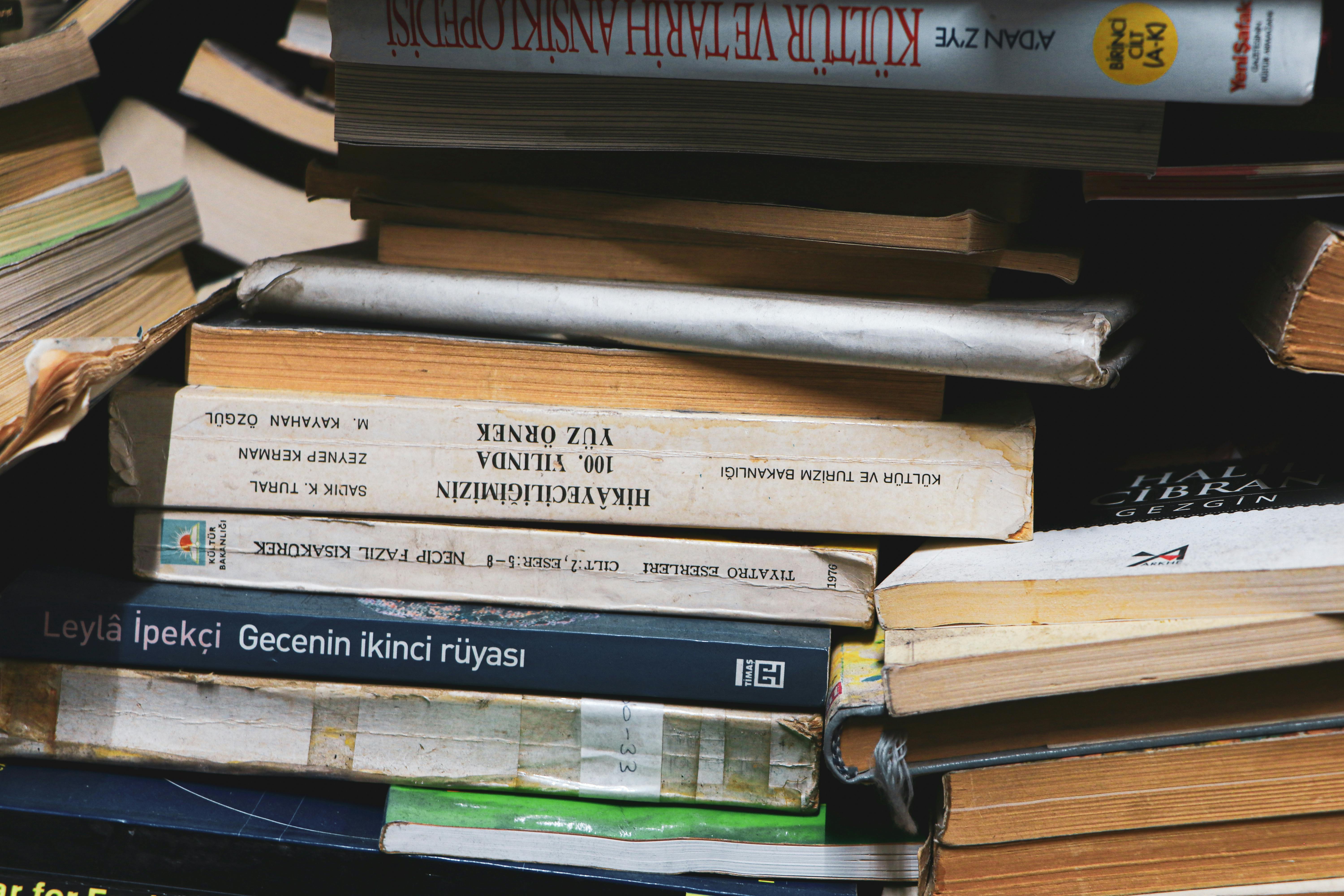 Philosophy and Politics in The Master and Margarita A Literary Analysis - Advance Book Readers