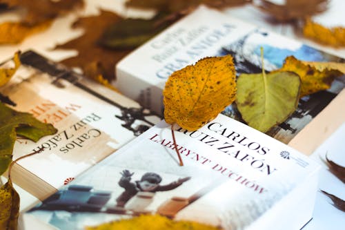 Assorted-title Books Covered by Dry Leaves