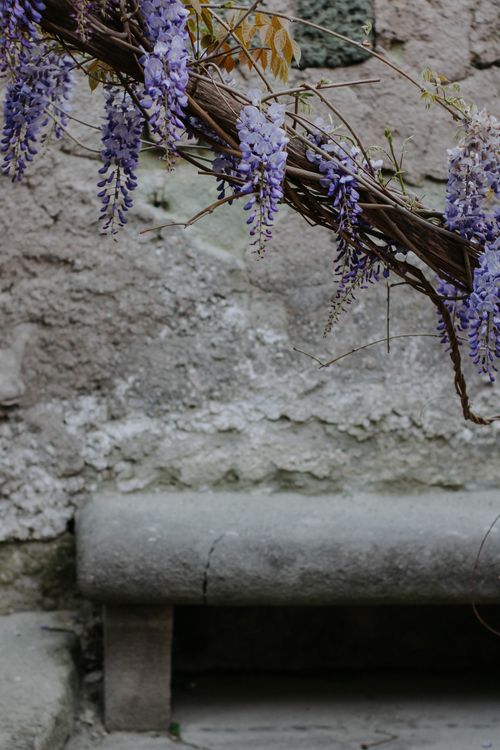 Free Wisteria vines cascade over a rustic stone bench against a textured wall, creating a peaceful outdoor scene. Stock Photo