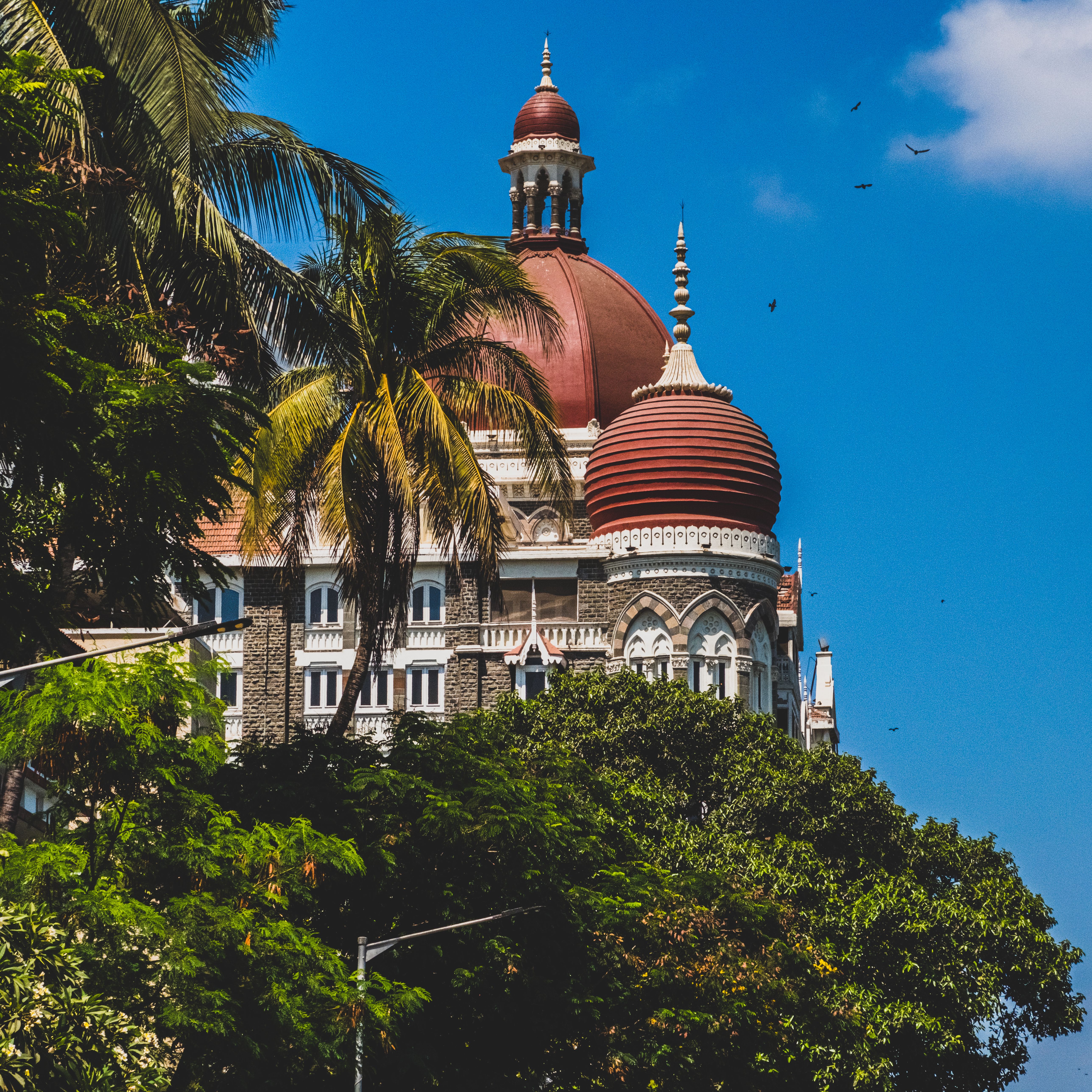 Trees and Taj Mahal Palace behind