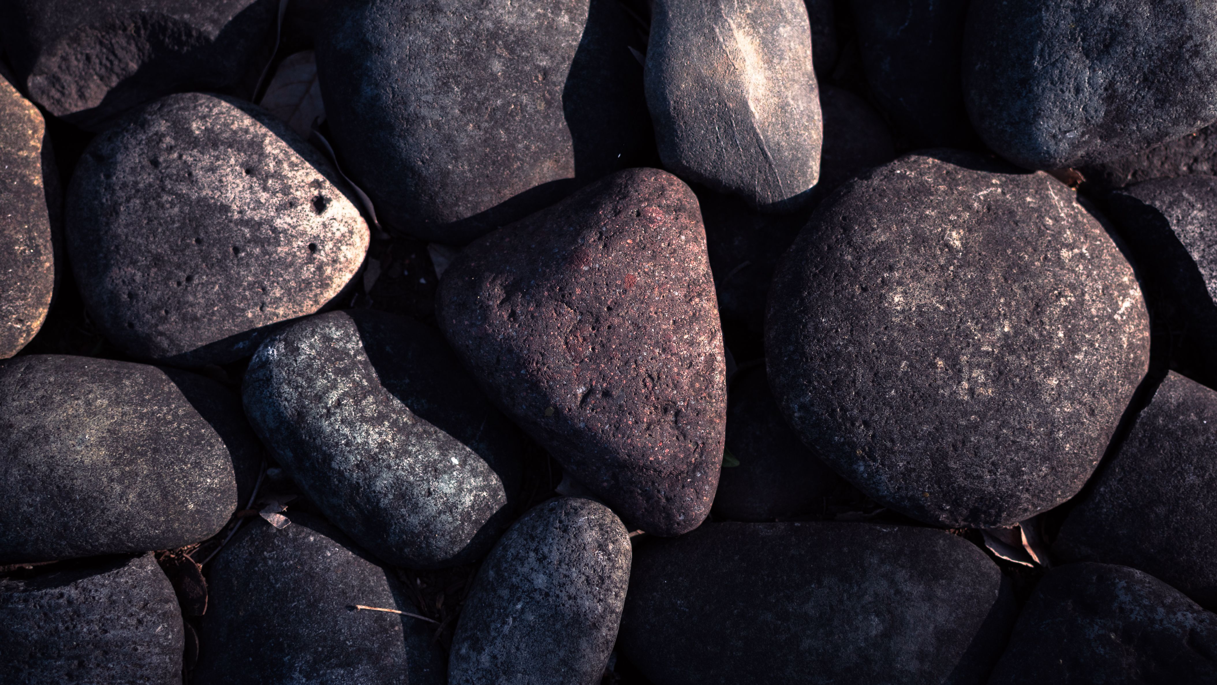 Dwayne Johnson and Erectile Dysfunction: What the Buzz Reveals About Men's Health Supplements — Photo by Nicolás Langellotti 