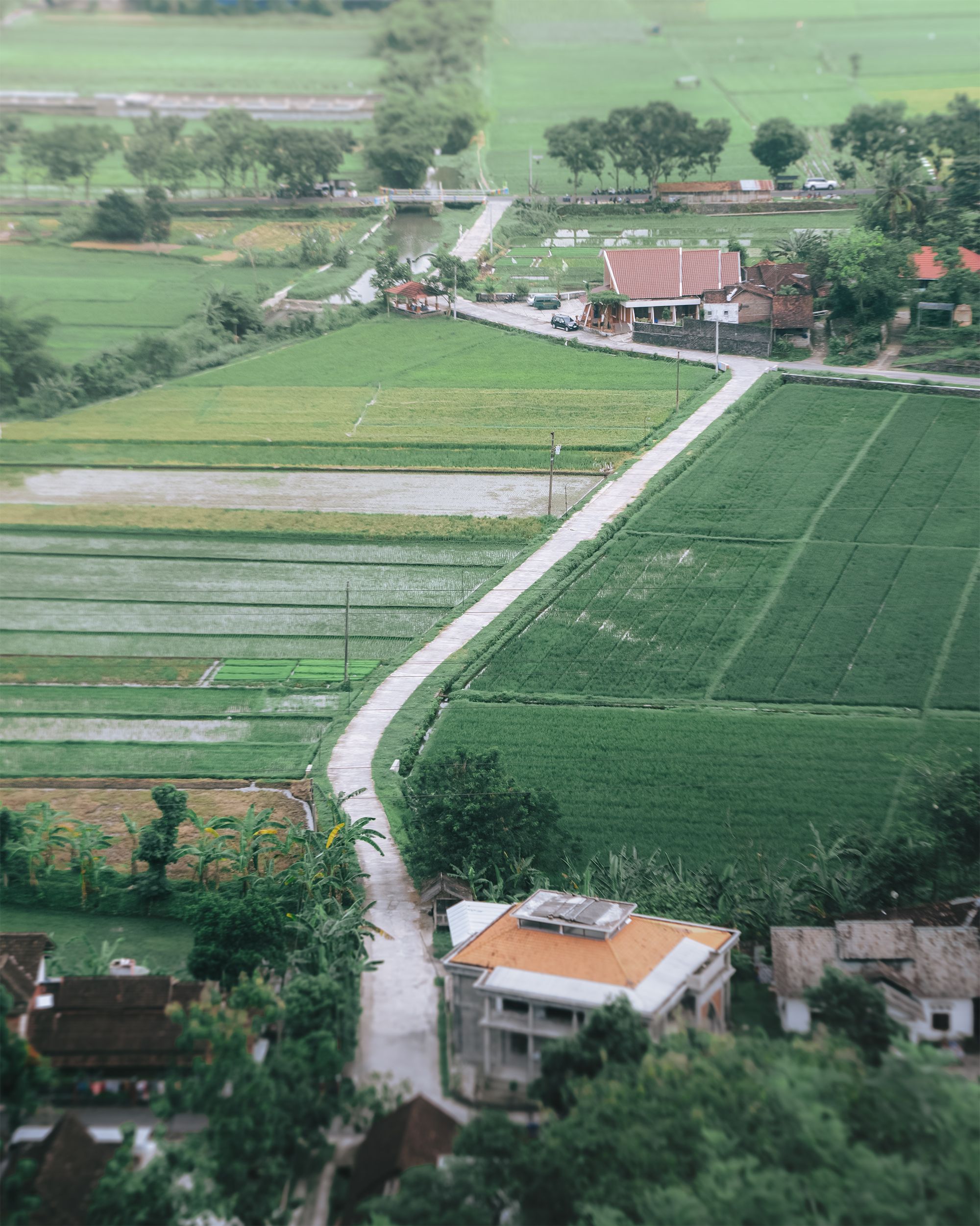 Aerial View of Houses and Croplands in the Countryside · Free Stock Photo