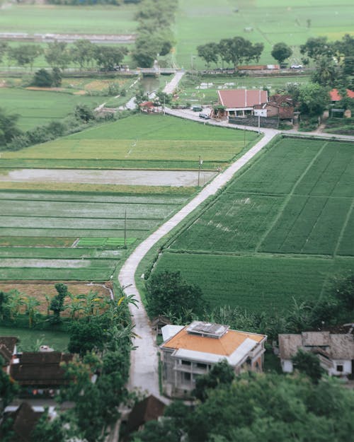 Aerial View of Houses and Croplands in the Countryside
