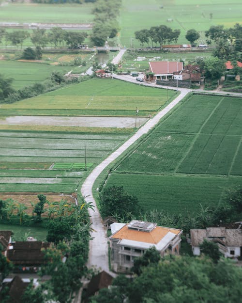 Gratis stockfoto met akkers, boerderij, bomen