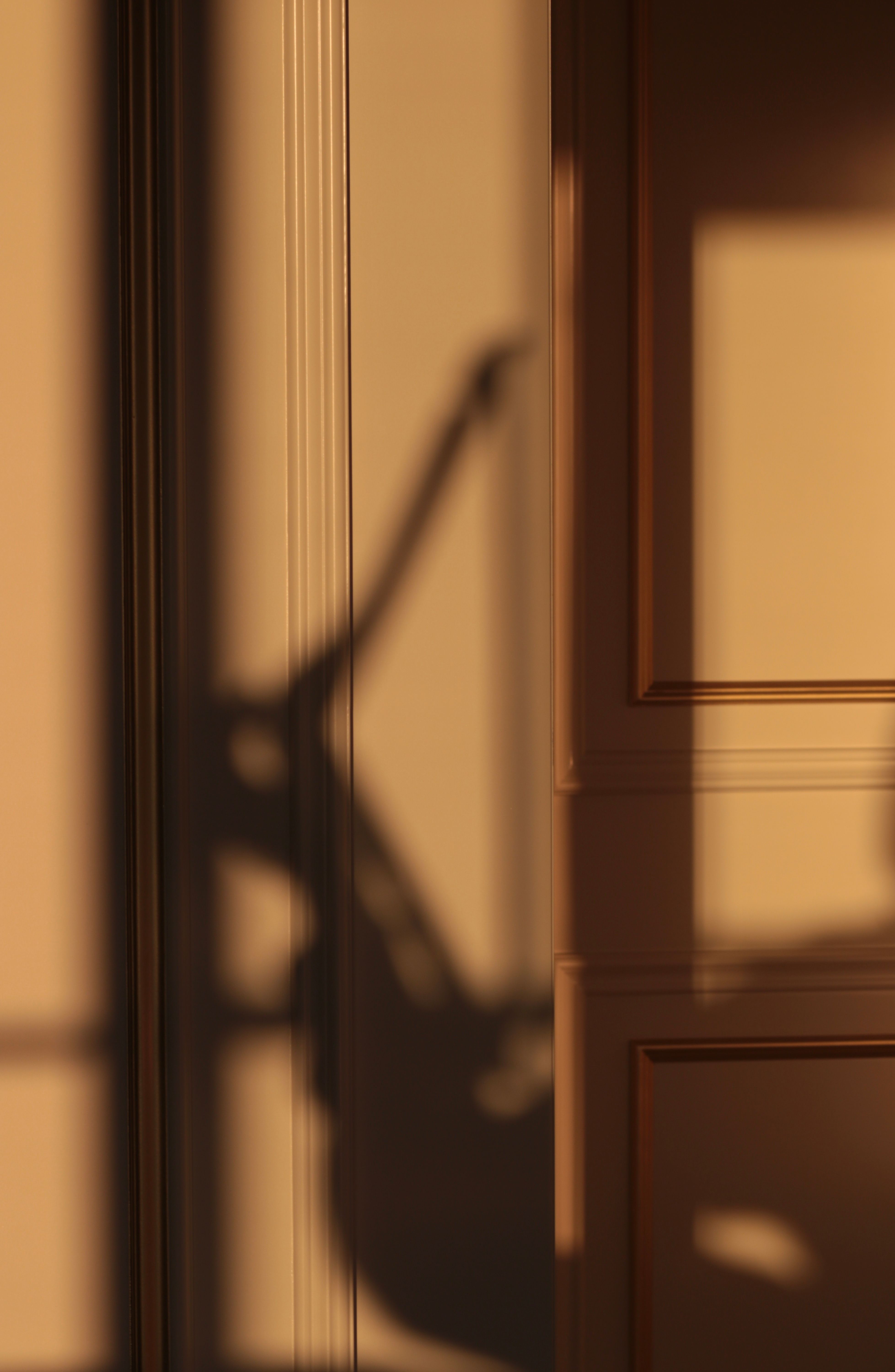 Shadow on Sunlit Wall · Free Stock Photo