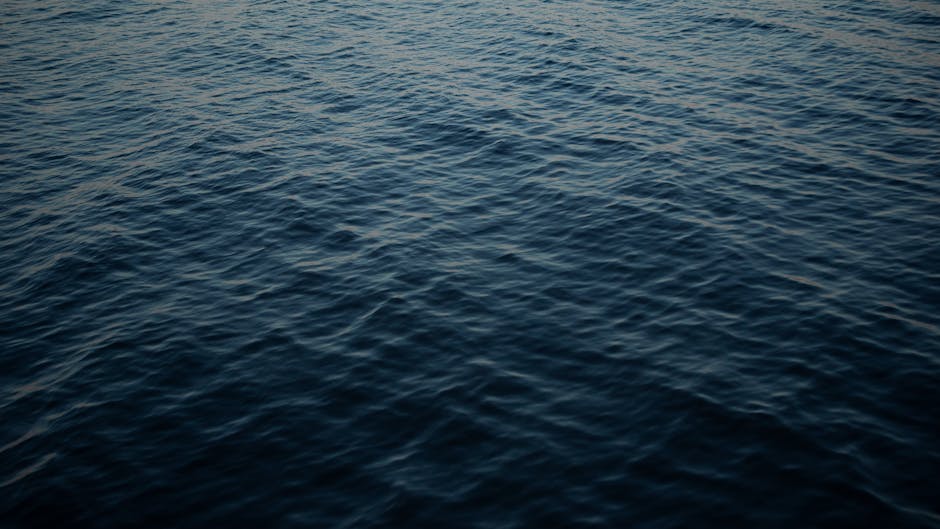 Efforts to Secure the Black Sea