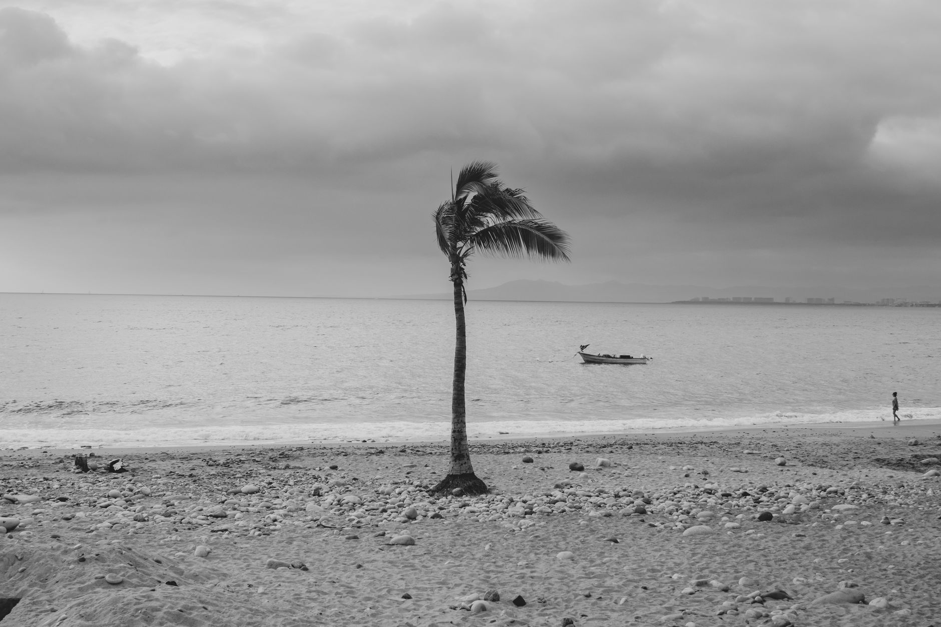 Calm Puerto Vallarta beach with lone palm and boat under stormy sky.