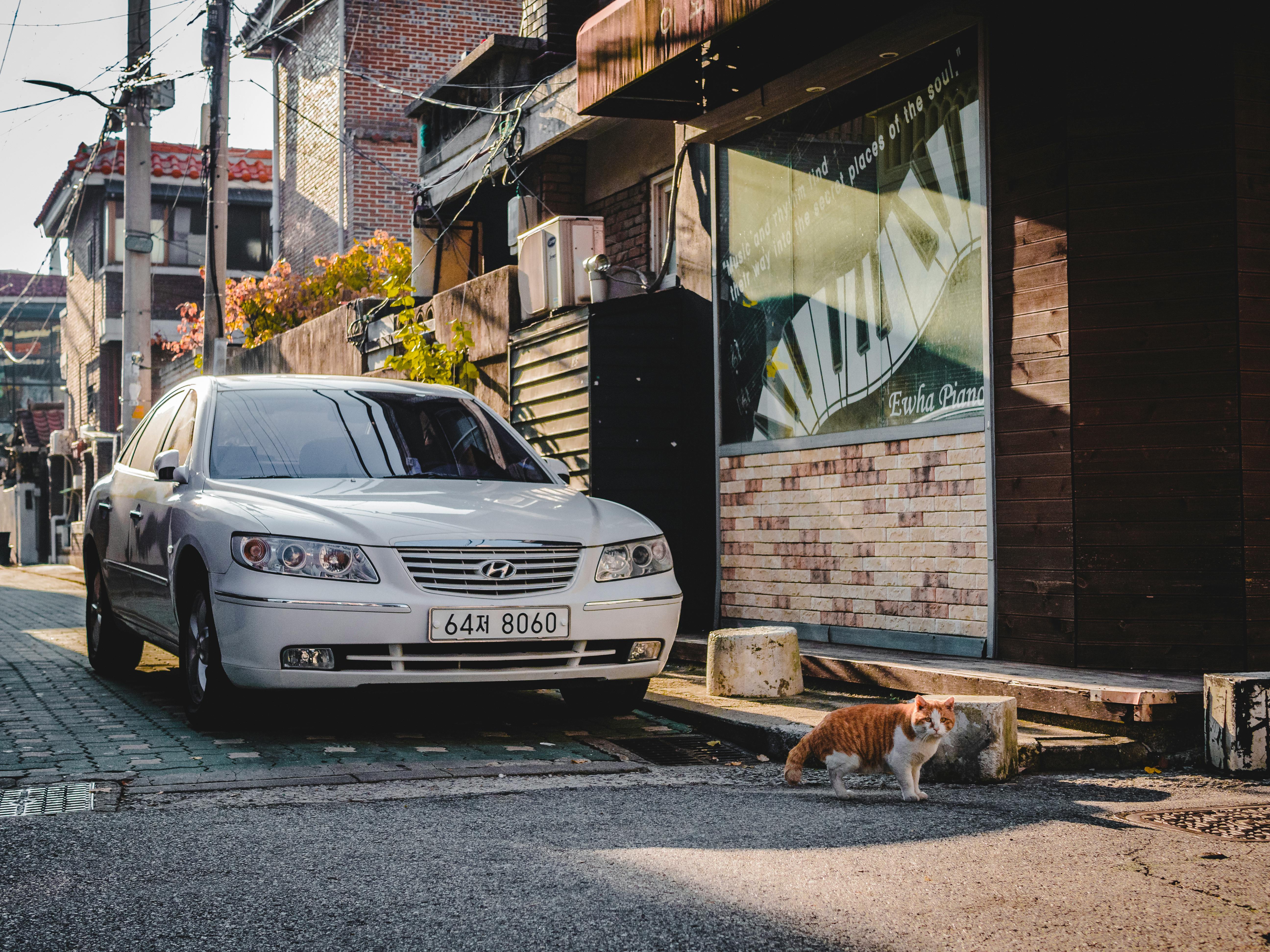 2015年汽车网站排名解析，盘点年度最受欢迎的汽车信息平台