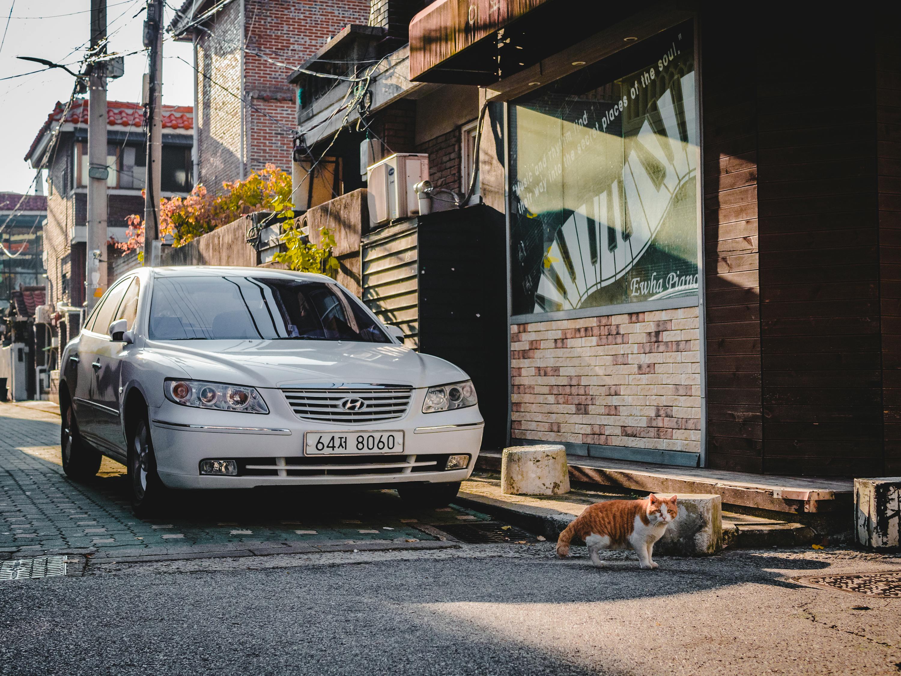 2015年汽车网站排名解析,盘点年度最受欢迎的汽车信息平台 2015年汽车网站排名解析,盘点年度最受欢迎的汽车信息平台